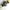 Quiksilver Vintage Casual Pria black photo 3