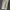 VANS Y2K Short Pria cream photo 4