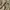 VANS Streetwear Short Pria brown photo 5