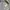 Carhartt Streetwear Casual Hoody Pria green photo 3