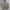 Carhartt Streetwear Casual Hoody Pria green photo 1