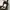 Luxury Casual Stroller Kids black photo 3