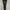 Nike Sportswear Casual Sweatpants & Joggers Pria black photo 1