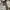 Levi's Minimalist Casual Harrington jacket Pria khaki cream photo 5