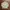 Levi's Minimalist Casual Harrington jacket Pria khaki cream photo 6