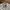 Levi's Minimalist Casual Harrington jacket Pria khaki cream photo 2
