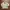 Levi's Minimalist Casual Harrington jacket Pria khaki cream photo 1