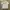 American Apparel Grunge Casual T-shirt Pria Gray