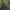 Tommy Hilfiger Vintage Hoody Pria green photo 3