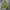 Tommy Hilfiger Vintage Hoody Pria green photo 1