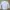 ZARA Casual Formal shirt Pria white blue photo 5