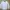 ZARA Casual Formal Shirt Pria White Blue