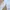 ZARA Casual Formal shirt Pria white blue photo 7
