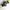 Quiksilver Vintage Casual Pria black photo 3