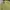 Nike Streetwear Skater Sweater Pria yellow photo 2