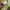 Nike Streetwear Skater Sweater Pria yellow photo 3