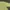 Nike Streetwear Skater Sweater Pria yellow photo 4