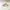Nike Streetwear Casual Hat Pria cream photo 1