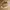 Nike Streetwear Casual Hat Pria cream photo 4
