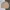 Grooverhyme Streetwear Skater Sweater Pria tan photo 1