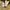 Japanese brand Vintage Streetwear Casual pants Pria yellow photo 7