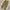 Japanese Brand Vintage Streetwear Casual Pants Pria Yellow