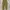 Japanese brand Vintage Streetwear Casual pants Pria yellow photo 5