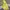 Montbell Gorpcore Sportswear Track jacket Pria orange yellow photo 1
