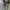 Converse Casual Sneakers Pria yellow black photo 4