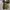 Converse Casual Sneakers Pria yellow black photo 6