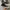 Converse Casual Sneakers Pria white black photo 3
