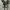Converse Casual Sneakers Pria white black photo 4