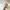 Polo Ralph Lauren Minimalist Casual Hat Wanita cream photo 2