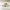 Polo Ralph Lauren Minimalist Casual Hat Wanita cream photo 1