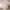 Polo Ralph Lauren Minimalist Casual Hat Wanita cream photo 4