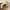 Polo Ralph Lauren Minimalist Casual Hat Wanita cream photo 3