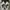 Adidas Casual Sneakers Pria white black photo 7