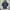 Adidas Sportswear Casual Windbreaker Pria Blue