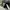 Gucci Luxury Casual Sneakers Pria black photo 8