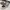 Nike Skater Sneakers Pria tan gray photo 8