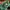 The North Face Casual Casual shirt Pria green photo 3