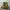 Streetwear Sneakers Pria multicolor photo 4