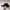 Le Coq Sportif Minimalist Casual Hat Pria black photo 3