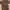Burberry Luxury Formal Shirt Pria Tan Brown