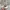 Guess Streetwear Swimwear Pria gray photo 3