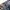 Japanese brand Y2K Avant Garde Casual pants Pria blue photo 7