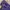 DESCENDANT Casual Windbreaker Pria purple photo 6