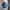 Japanese Brand Vintage Casual Harrington Jacket Pria Blue
