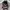 MLB Vintage Hat Pria brown black photo 5