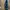 Adidas Casual Casual shoe Pria green photo 3